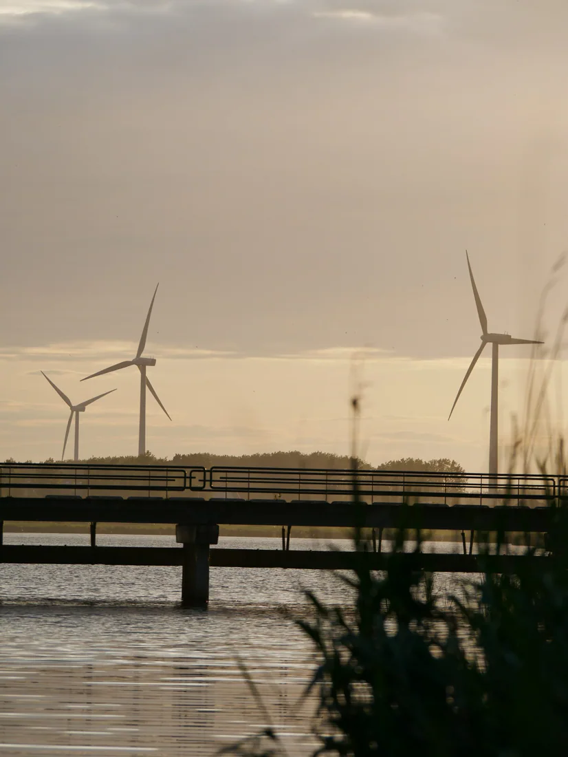 Nederlandse infrastructuur met brug en windturbines
